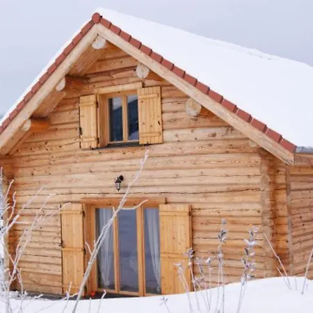 Confort En Bois, Wifi, Animaux Admis - Fr-1-589-756 Anould