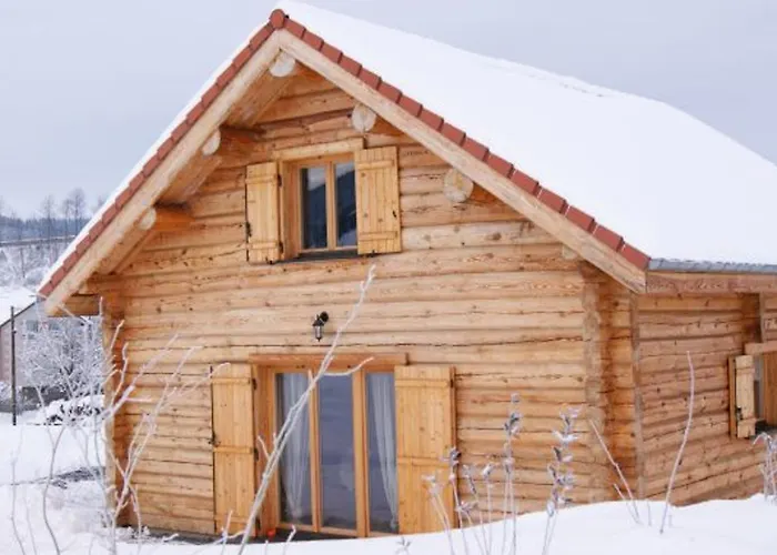 Confort En Bois, Wifi, Animaux Admis - Fr-1-589-756 Anould